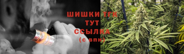 гашик Алзамай