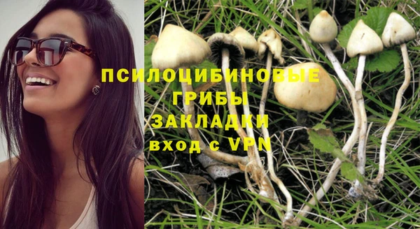 ПСИЛОЦИБИНОВЫЕ ГРИБЫ Алексеевка
