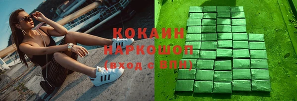гашик Алзамай